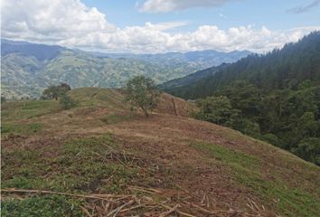 Lote de Terreno en  Roldanillo, Valle Del Cauca