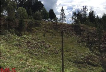 Lote de Terreno en  Guarne, Antioquia