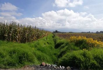 Lote de Terreno en  San Pedro Totoltepec, Toluca