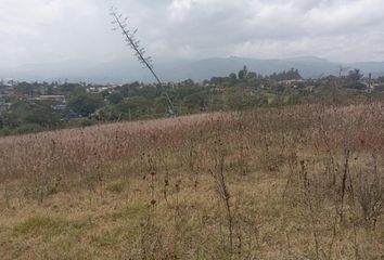 Terreno Comercial en  Puembo, Quito