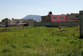 Lote de Terreno en  Cacalomacán, Toluca