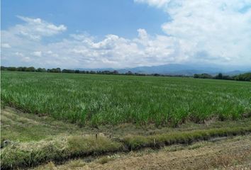 Lote de Terreno en  Pueblo Nuevo, Vijes