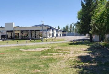 Galpónes/Bodegas en  Valentina Sur Rural, Neuquén