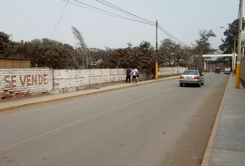 Terreno en  Avenida Manuel Valle, Pachacamac, Perú