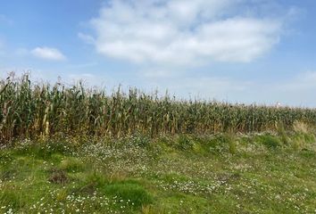 Lote de Terreno en  Villas Del Campo, Calimaya