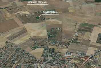 Terreno en  Morales Del Vino, Zamora Provincia