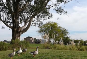 Terrenos en  Campana, Partido De Campana