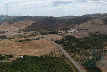 Terreno Comercial en  Narcisa De Jesús (nobol)