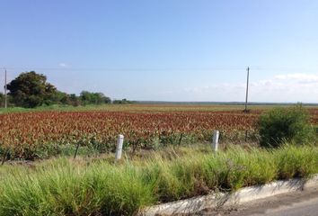 Lote de Terreno en  Cadereyta Jimenez Centro, Cadereyta Jiménez