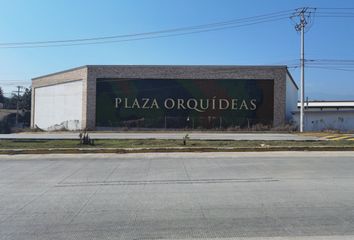 Local comercial en  Coatepec Centro, Coatepec, Veracruz