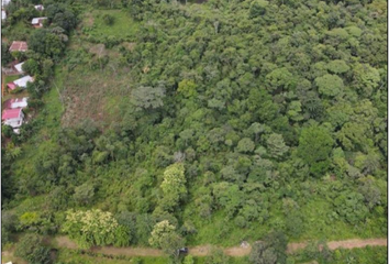 Lotes y Terrenos en  Pedregal, Ciudad De Panamá