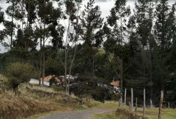 Terreno Comercial en  3rg9+9j Tabacundo, Ecuador