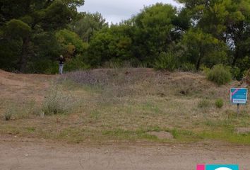 Terrenos en  Otro, Monte Hermoso