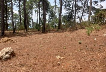 Lote de Terreno en  Valle De Bravo, México, Mex