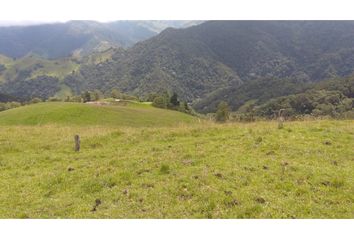 Villa-Quinta en  El Palmar, Manizales