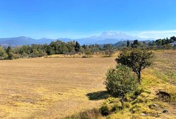 Lote de Terreno en  Tlalmanalco, Estado De México