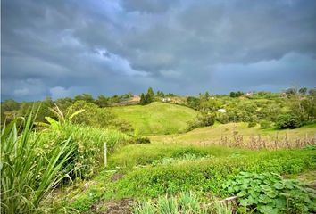 Lote de Terreno en  El Carmen De Viboral, Antioquia