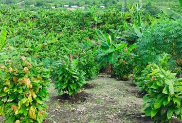 Local en  Alhajuela (bajo Grande), Portoviejo