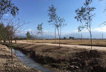 Terrenos en  Altos De San Lorenzo, Villa San Lorenzo