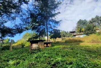 Lote de Terreno en  Valle De Bravo, México, Mex