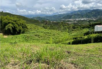 Lote de Terreno en  Palestina, Caldas