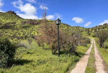 Parcela en  Colina, Chacabuco