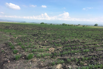 Lote de Terreno en  Campo Nuevo, Cuautla, Morelos