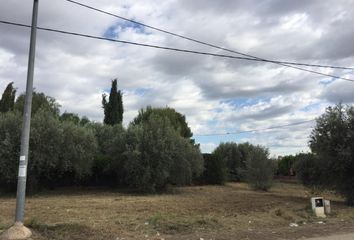 Terreno en  Sangonera La Seca, Murcia Provincia