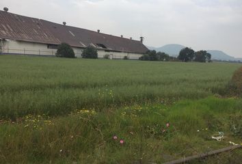 Lote de Terreno en  Ayapango, Estado De México