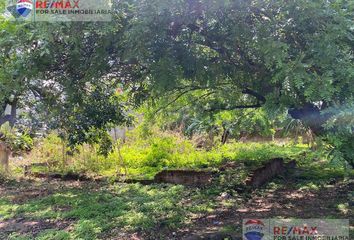 Lote de Terreno en  Chamilpa, Cuernavaca, Morelos