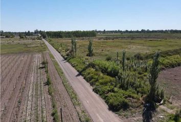 Terrenos en  Junín, Mendoza