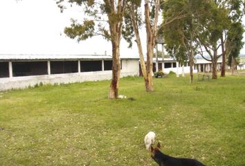 Rancho en  Calle Profesor Alfonso Jiménez, El Calvario, Huichapan, Hidalgo, 42404, Mex