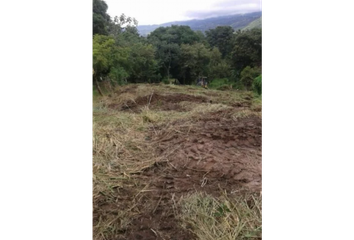 Lotes y Terrenos en  Palmas De Gorgona, Chame