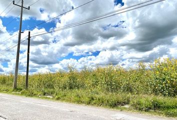 Lote de Terreno en  Domingo Arenas, San Martín Texmelucan De Labastida