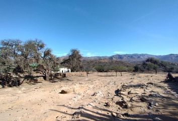 Lote de Terreno en  Tierra Nueva, San Luis Potosí, Estado San Luis Potosí