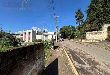 Lote de Terreno en  Coatepec Centro, Coatepec, Veracruz