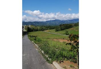 Lote de Terreno en  La Virginia, Risaralda