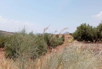 Terreno en  Calicasas, Granada Provincia