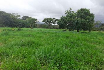 Lote de Terreno en  Vereda Pedregal, Yopal, Casanare, Colombia