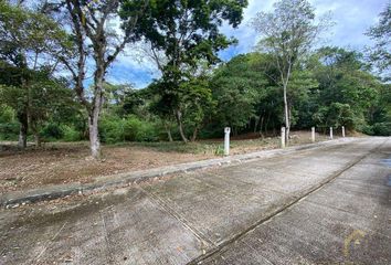 Lote de Terreno en  Coatepec Centro, Coatepec, Veracruz