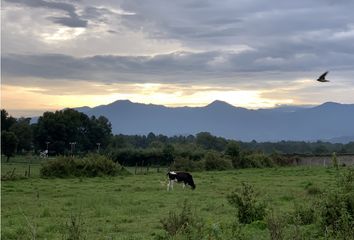 Lote de Terreno en  Santa María Ahuacatlan, Valle De Bravo