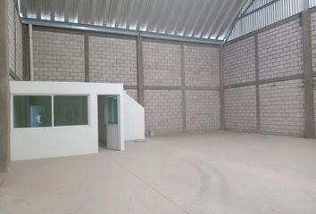 Nave en  Escuela Vicente Suárez, Calle Cristóbal Colón, Xilotzingo, Papalotla De Xicohténcatl, Tlaxcala, 90790, Mex