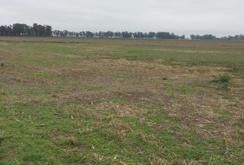 Terrenos en  San Pedro, Partido De San Pedro