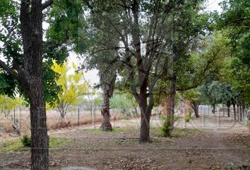 Villa en  Cienega De Flores Centro, Ciénega De Flores