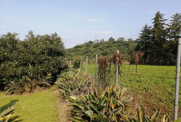 Lote de Terreno en  Amanalco, Estado De México