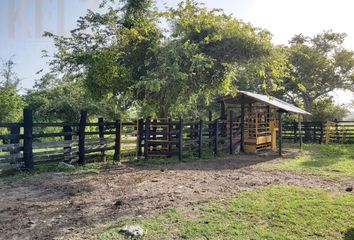 Lote de Terreno en  Tampico Alto, Veracruz