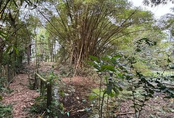 Lote de Terreno en  Comalcalco Centro, Comalcalco