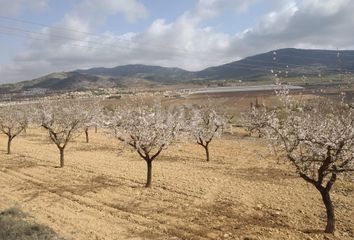Terreno en  El Rebalso, Alicante Provincia