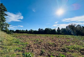 Lote de Terreno en  Avándaro, Valle De Bravo