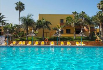 una de las piscinas - Picture of Oasis Tamarindo, Fuerteventura -  Tripadvisor